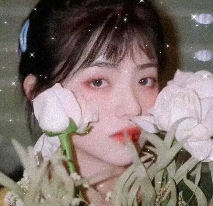 情圣兄弟