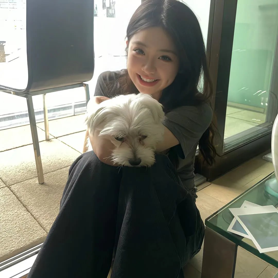 阿里山风云